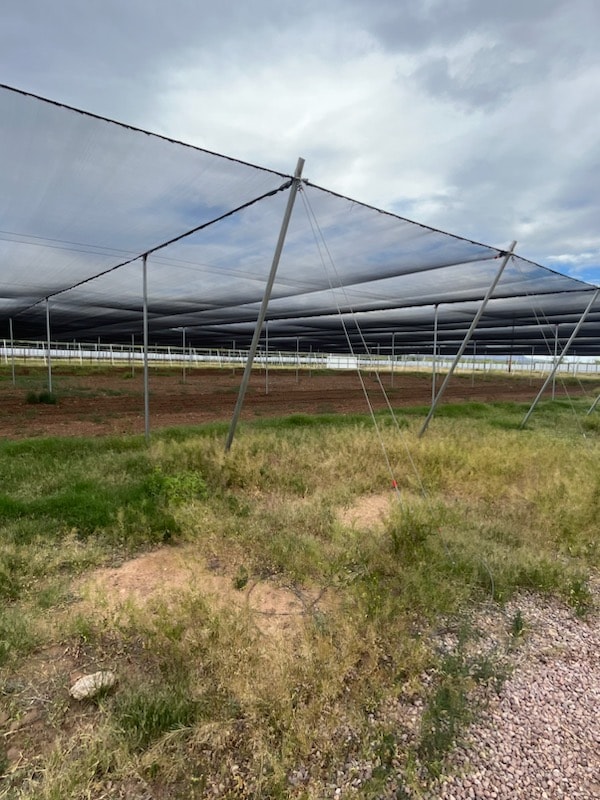 8.7 Acre Shade Structure interior view, Arizona.