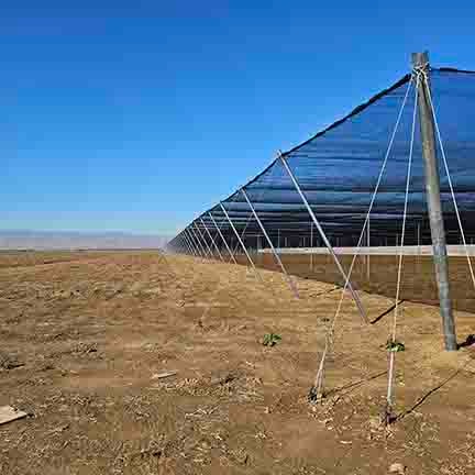 10A Crop Shade Structure, Bakersfield, CA.