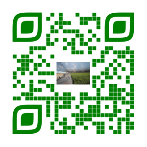 QR code — www.shadenethouse.com